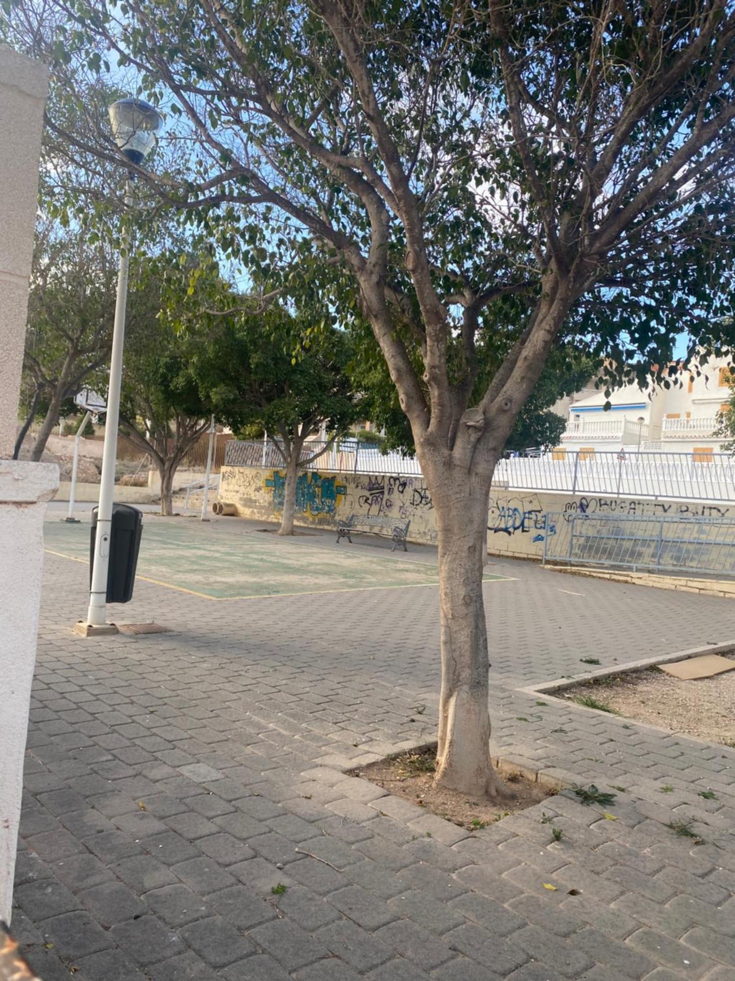 Sunrise Beach سانتا بولا المظهر الخارجي الصورة